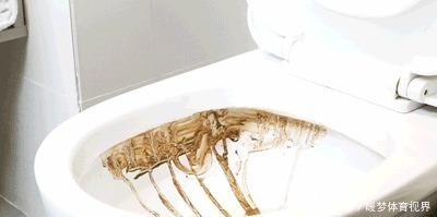 软毛|建议大家:如果不差钱,给卫生间添置5件“高级货”,幸福感倍增