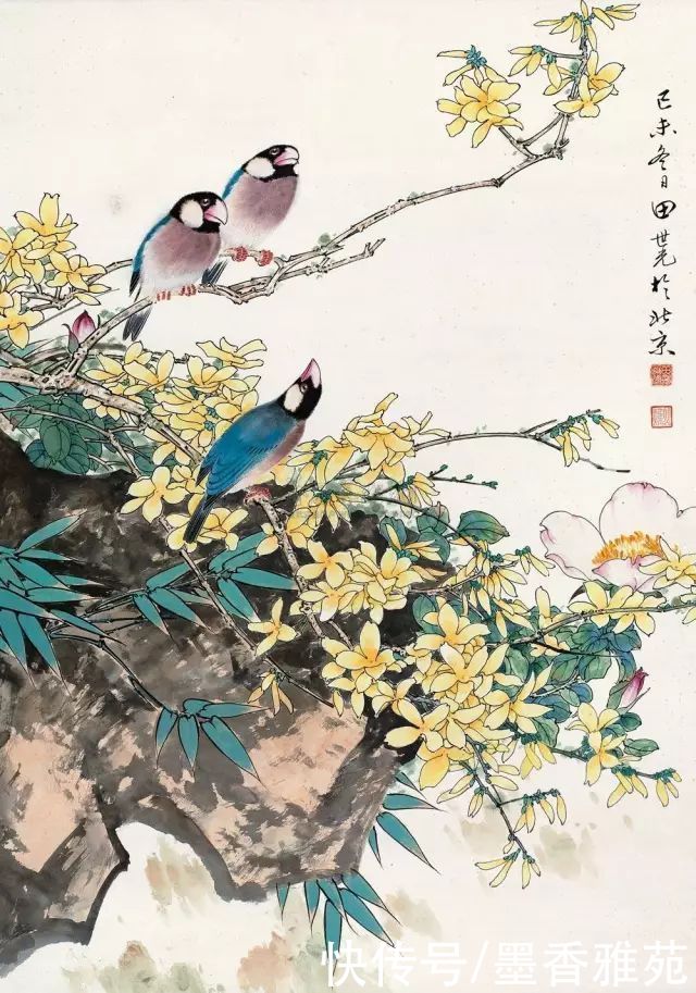 精品|太美了，艺术大师田世光精品花鸟画作品欣赏