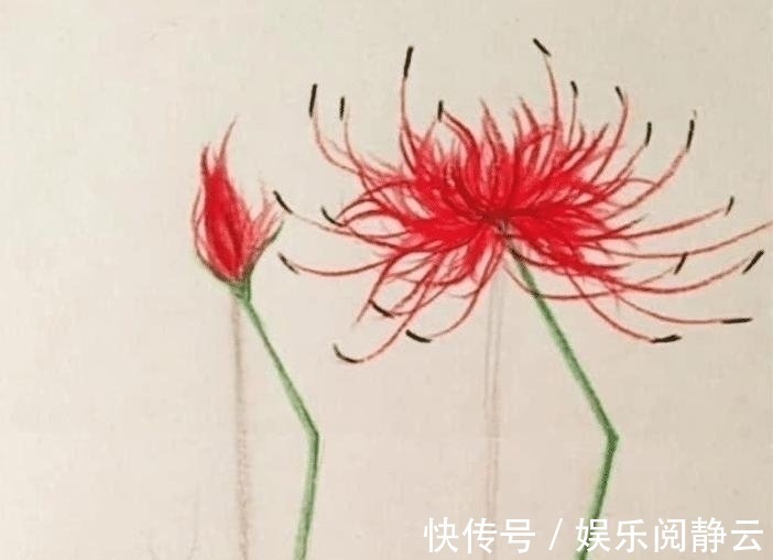 画纸$开始以为是劣质美术生，画朵花杆都“折”了，对着画纸后打脸了