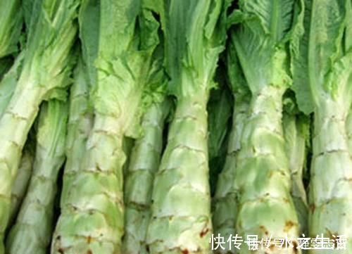 荠菜|寄生虫成堆的4种蔬菜,吃一口等于吃几千条虫,沸水都杀不死