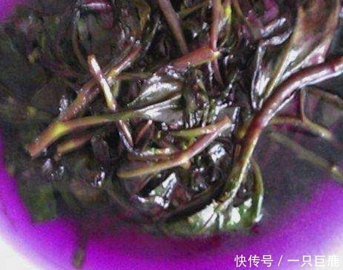 名字|农村的这种可口野菜，妈妈经常种，长大了才知道它的名字和价值！