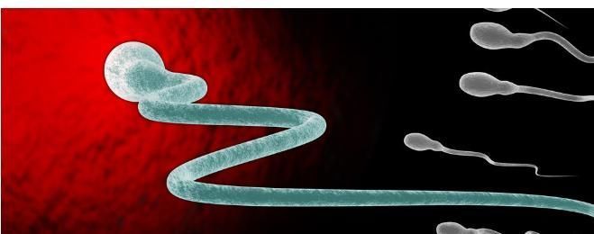 说法|“前七后八”的安全避孕说法,真的靠谱吗?真的可以避孕吗