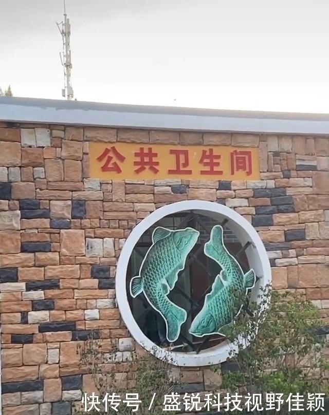 告示|哥哥着急上厕所，贴出“霸气告示“保护妹妹，妈妈回来后笑出眼泪