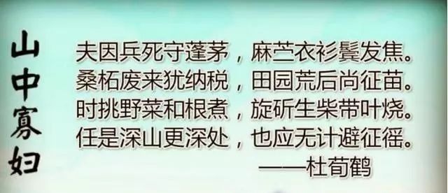 才子$才子为寡妇写了首诗,被名流贬得一无是处,如今却入选中学教材