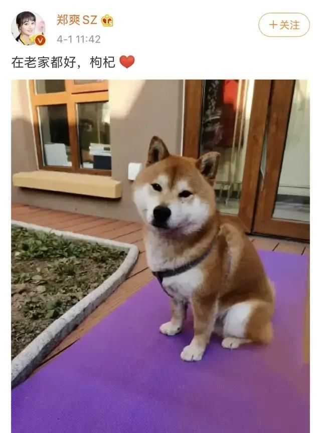 公开互撕!节目上都不装了?