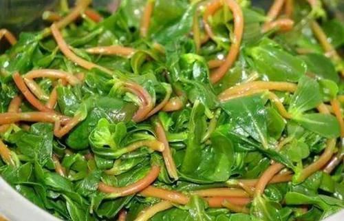 血管壁|女性担心老太快,常吃3种食物,美容养颜,延缓衰老,早吃早好