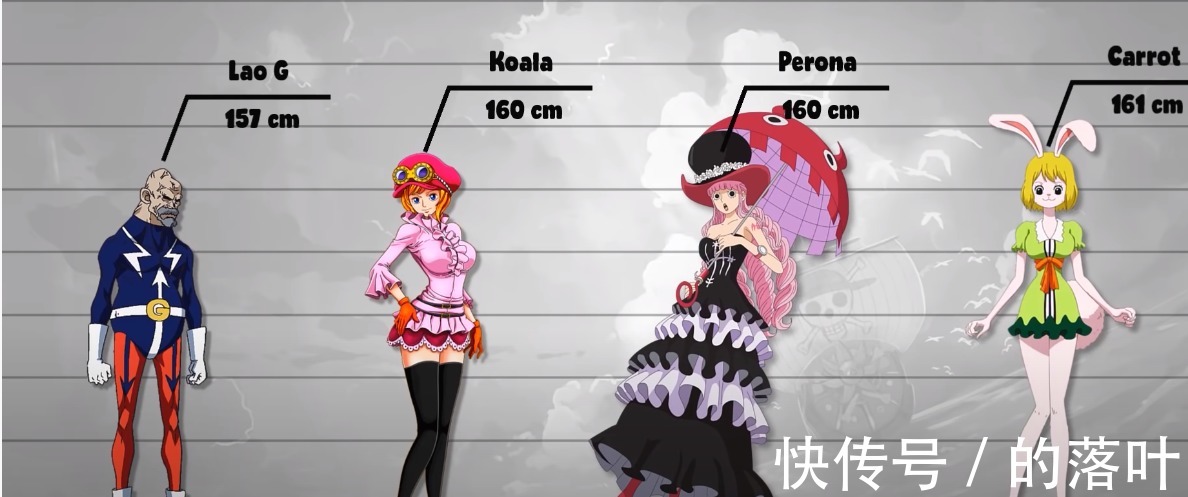 路飞|海贼王人物资料公示1乔巴已经很可爱了，竟然还有mini公主