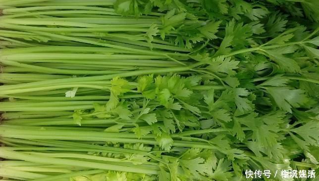 黄瓜|让人倒下的不是病，是无知芹菜与“它”同食等于没病找病