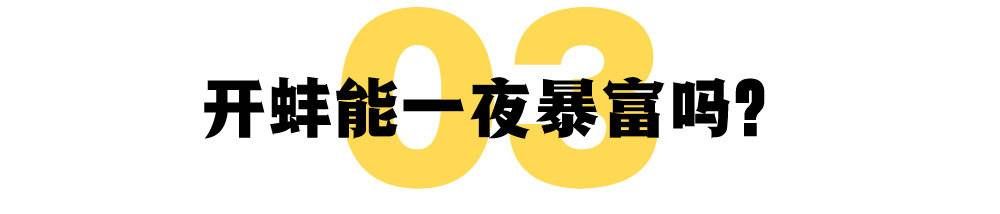 爱迪生|多少女人正在深夜，沉迷最“佛系”的赌性直播？