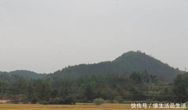 孙权|刘邦唯一信任的异姓王,死后400年容貌如故,孙权看了不能理解