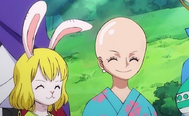 光头|《海贼王》草帽团被全员剃光头,娜美不再女神,布鲁克毫无违和感