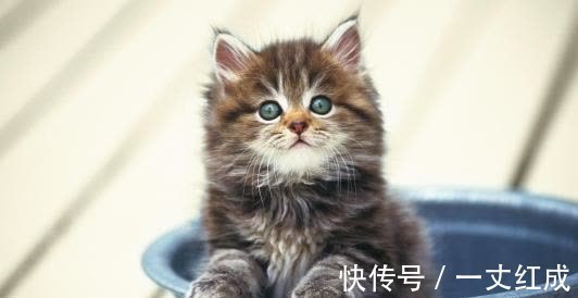 |幽默笑话：某加油站为了招揽生意，凡买汽油者可获赠一幅当地地图