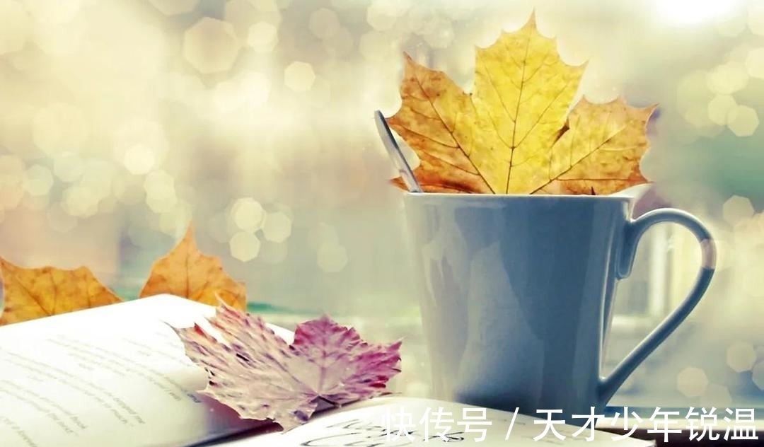 书本!读书变现:为读书投资,为自我增值