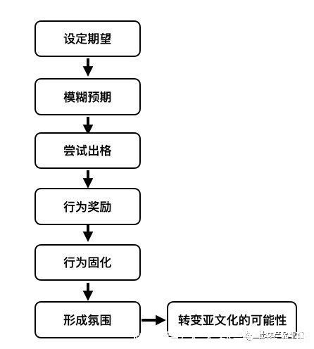 亚文化|主流文化和亚文化：社交产品的核心竞争力究竟是什么？