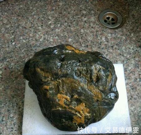 大爷用石头来养花,越养越值钱,有人出1000块也不卖!