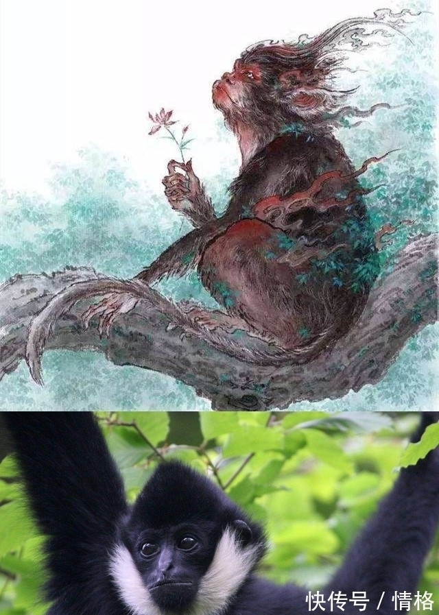 海内北经&《山海经》被质疑几千年,竟可能是丢失的上古历史?学者:真的