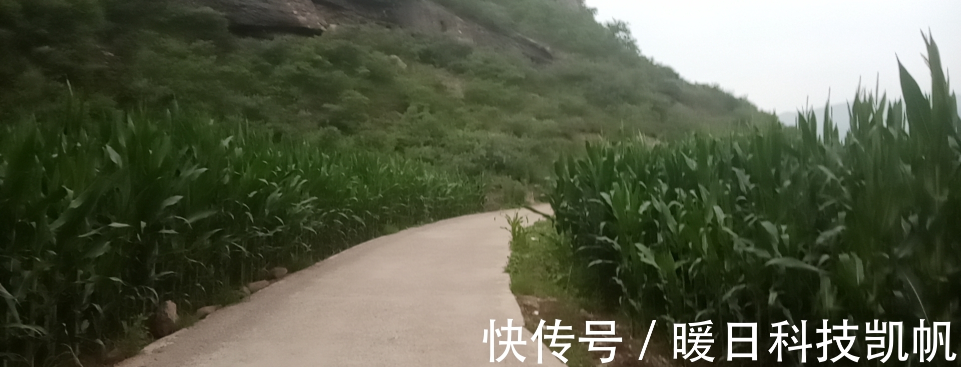 生活方式|跑步就是低碳了?重在生活方式的选择