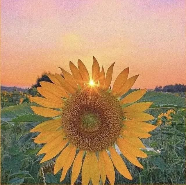 代金券|宫崎骏动漫“同款”!快来滁州这里打卡!