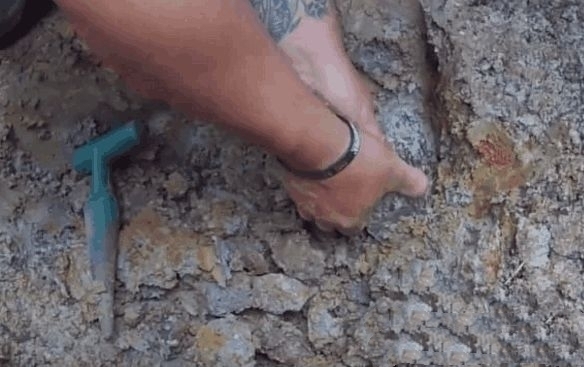 发现|男子去野外探险,发现泥土不对劲,挖开后整个人都乐坏了