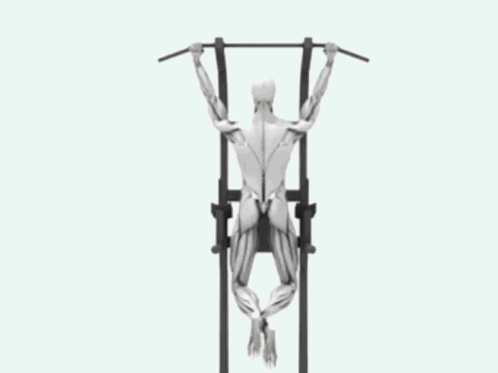 肌群|不去健身房，怎么练出一身肌肉附一周4练健身动图