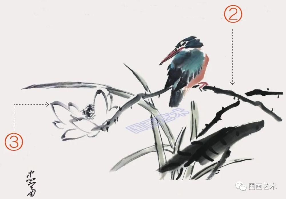  绘制出翠鸟|图文教程：轻松学画黄鹂、翠鸟