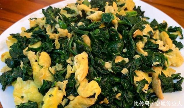这菜叶子别再扔掉了,比萝卜还营养,用来炒鸡蛋最香,别不懂吃