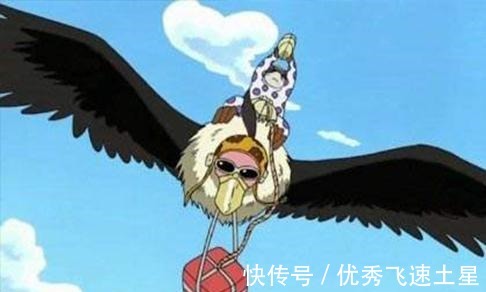 鸟类|海贼王中8种奇特鸟类,指南鸟头朝南边才舒服,有只企鹅叫骆驼