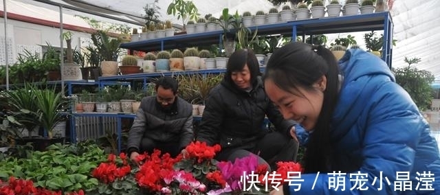 套路|花卉市场“套路深”，这3种花万万不要买，不然会吃“闷亏”