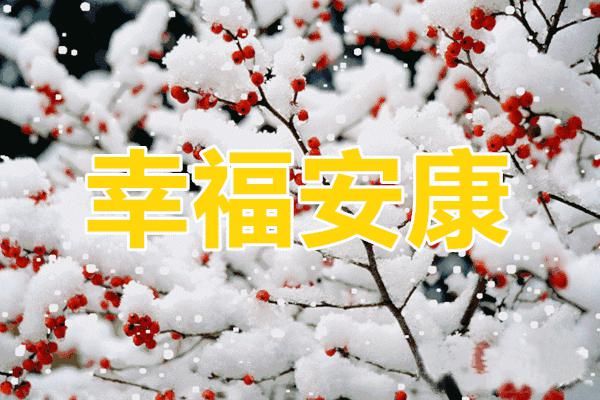  日子|大雪到了，最冷的日子来了，多吃三白、三雪、三肉，健康过冬天！