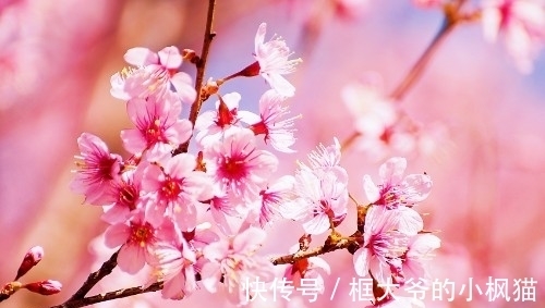 功名富贵#《菜根谭的智慧》经典名句解评(五十七)