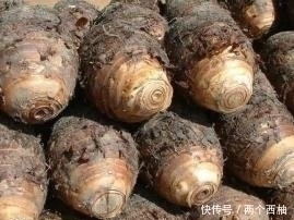 芋头|立秋后，芋头和此物同食，对身体十分有益，却有很多人不清楚