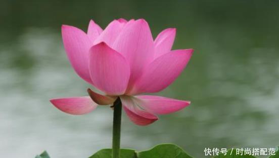 王伟伟|一个人再老实,也不能在这三件事上软弱,会被人看不起