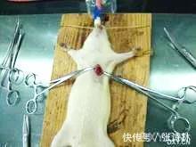 华纳药业|华纳药业:正确了解肺结节,不要乱治疗,也不要被吓死