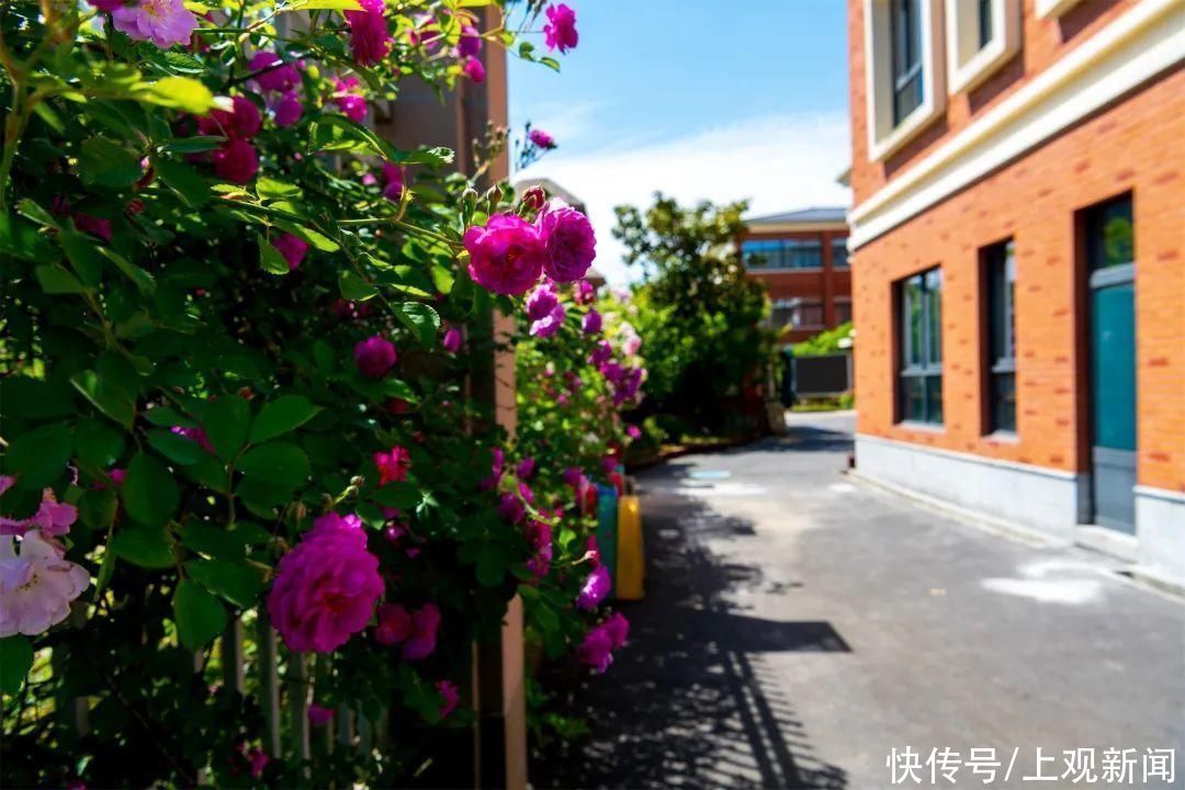 幼儿园里的精致花园 奉贤区2家幼儿园新获“上海市花园单位”荣誉称号