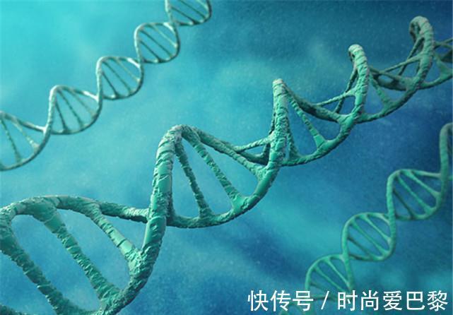 甘油三酯|高血脂“缠上”的人，都有4个特征，占得越多，血脂超标越严重