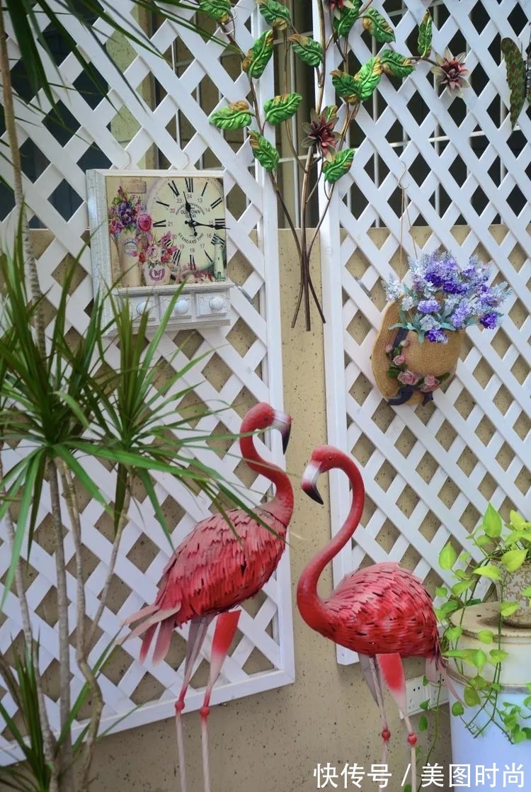 三角梅|120㎡别墅花园改造,经过三年的努力,小院从荒地到花开满园