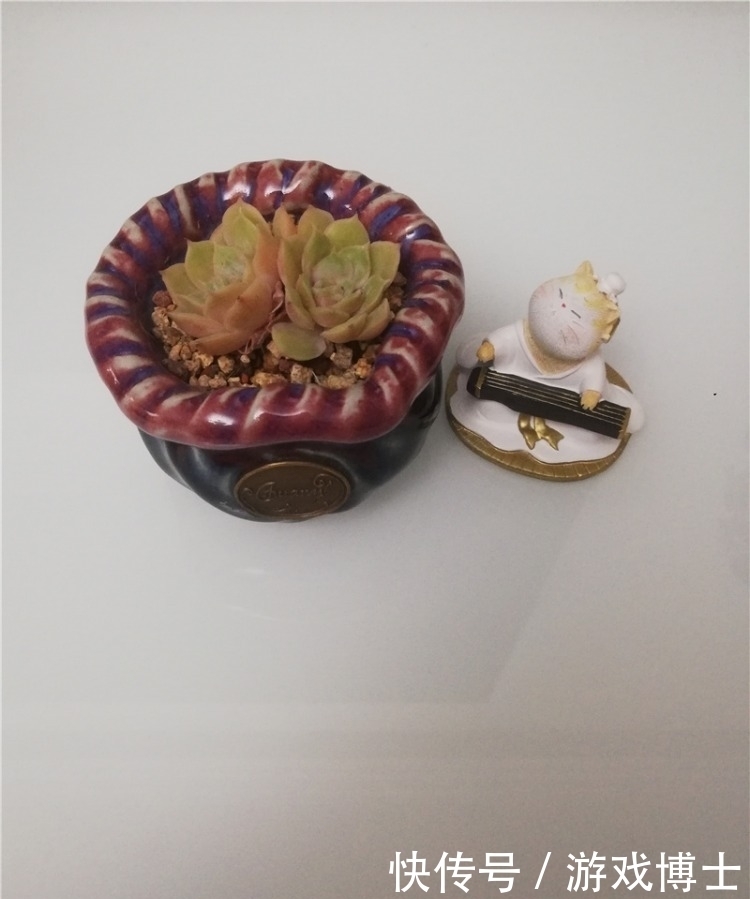 一肉一世界，一方一净土