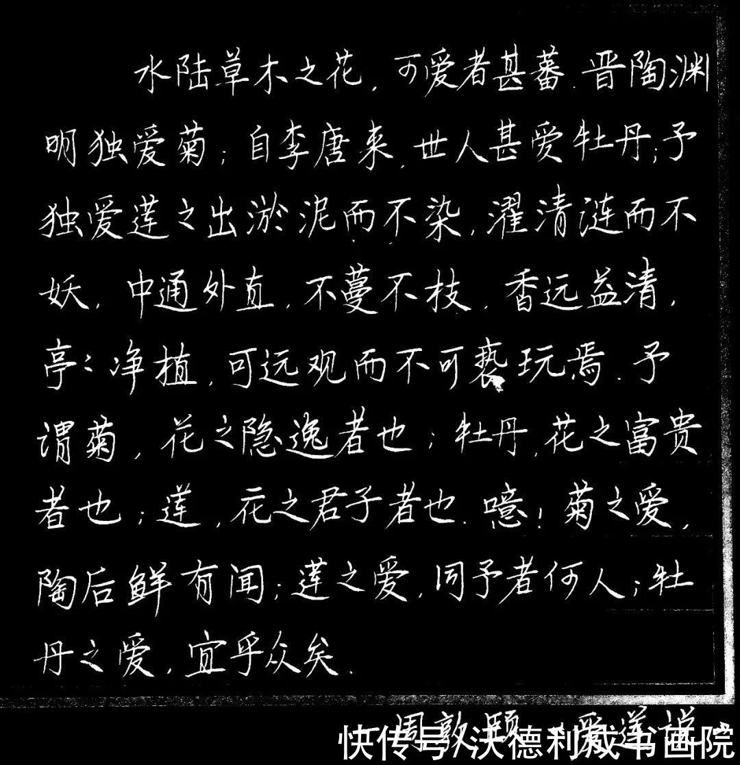 钢笔|硬笔书法欣赏 漂亮钢笔字，美哉