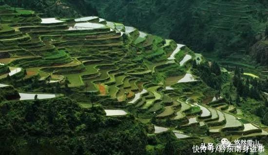 住在风景里看风景的苗寨——白岩