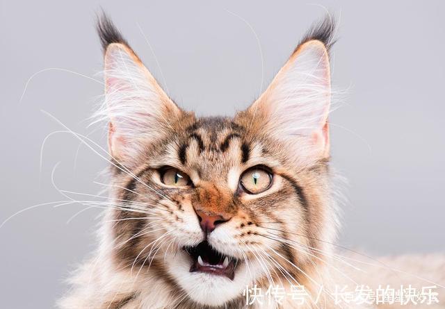 |幽默笑话:女友第一次来家里,就暴露了吃货的一面!