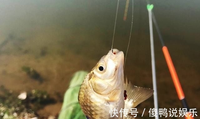 钓鱼用长子线好还是短子线好?看完不再纠结