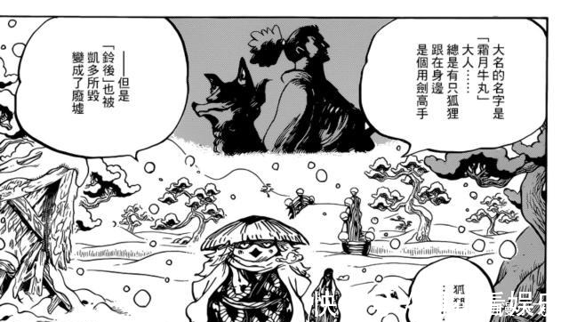 索隆|海贼王953话 激凸!乔巴的同类出现!又一个吃了人人果实的能力者