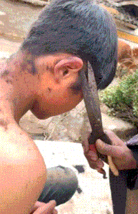 狗子|“一男子为了庆祝好友退役归来,竟女装欢迎?”哈哈哈哈