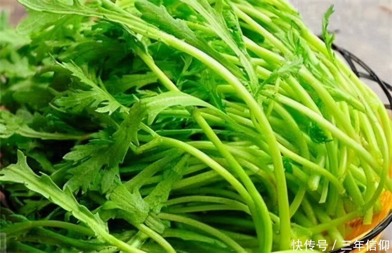 女性|女性不想早衰,不妨多吃3种食物,帮助睡眠补气养血,早吃早好