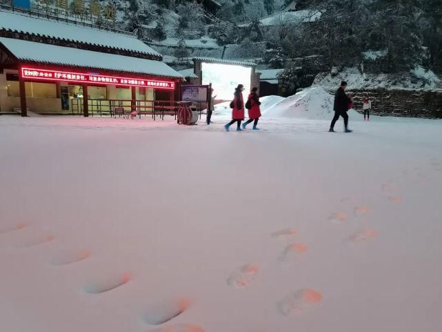 情怀|只下了一场雪，峨眉山又多了这些名场面