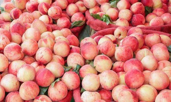 孕妈|老人说,孕期吃桃子,容易导致孕妈流产,这是真的么