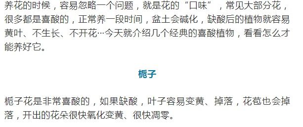 这10种花爱喝醋，浇水加点酸，叶子油亮爱开花！