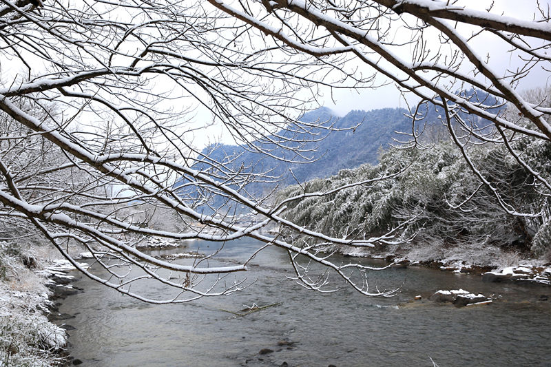 宋韵|古镇沐浴一场雪，温润了旧梦，惊艳了时光