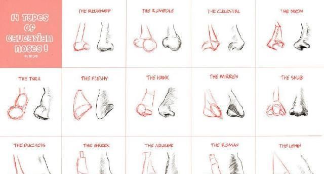 人类|绘画素材 ▏画师分享的各种人类鼻子的画法