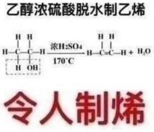 专业的同学|“当年选专业脑子里进的水，现在都变成表情包！”哈哈哈......